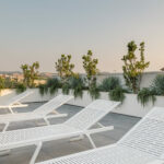 Piante e Design